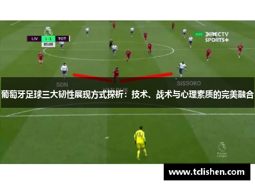 葡萄牙足球三大韧性展现方式探析：技术、战术与心理素质的完美融合